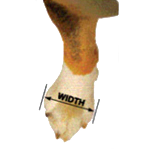 Euro Joe Barkn' Boots Grip Trex (x1) 9 Euro Joe Barkn' Boots Grip Trex (x1) - Image 7