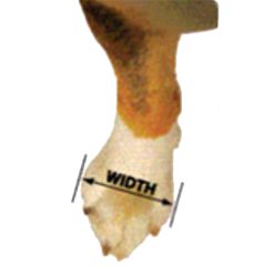 Euro Joe Barkn' Boots Grip Trex (x4) 8 Euro Joe Barkn' Boots Grip Trex (x4) -Euro Joe Shop barknboots04 1